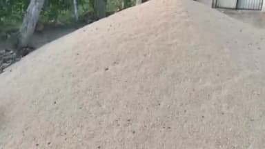 इटाढ़ी: जिले में 127 पैक्स व 6 व्यापार मंडल से 42733 मैट्रिक टन गेंहू की होगी खरीद