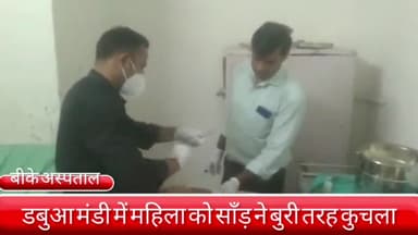 फरीदाबाद: डबुआ मंडी में सब्जी लेने गई महिला को देर रात सांड ने मारी टक्कर, इलाज के लिए बीके अस्पताल में भर्ती