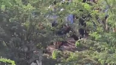 बाड़मेर: शहर के नेहरू नगर रेलवे पटरियों के पास प्लास्टिक की थैली में डालकर नवजात शिशु को फेंक दिया, पुलिस को दी गई सूचना