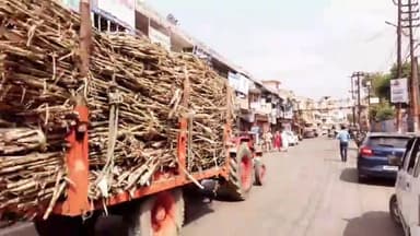 शामली: शामली नगर पालिका चेयरमैन पद के प्रत्याशी द्वारा फोन से किया जा रहा चुनाव प्रचार, जनता हो रही परेशान