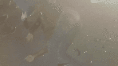 सिंगरौली: परसौना के समीप बलिया पुलिया के पास एक ट्रक ने बाइक सवार को मारी टक्कर, बाइक सवार गंभीर रूप से हुआ घायल