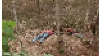 बनखेड़ी: बिजन्हाई मोड़ पर सड़क हादसे में दो व्यक्तियों की मौत का मामला पुलिस थाना बनखेड़ी में हुआ दर्ज