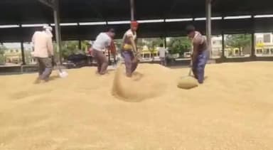 करनाल: सेक्टर-3 स्थित अनाज मंडी में 15 मई तक होगी गेहूं की सरकारी खरीद, मंडी सचिव की नियुक्ति से उठान में आई तेजी: DC अनीश यादव