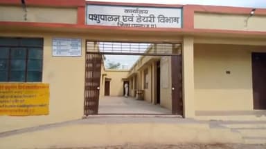 पन्ना: पशु चिकित्सालय में ऑपरेटर न होने से खराब हुई एक्सरे मशीन, गौ संवर्धन बोर्ड के जिला उपाध्यक्ष ने सौंपा ज्ञापन