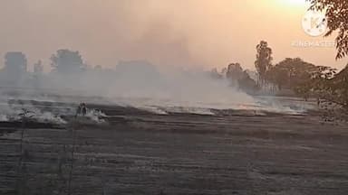 सोनीपत: तिहाड़ सहित विभिन्न ग्रामीण क्षेत्रों में फसल अवशेषों में लगी आग, बढ़ा प्रदूषण