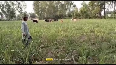 धनौरा: गजरौला के गांव अटारी मुरीदपुर के भारतीय किसान यूनियन के मंडल अध्यक्ष ने आवारा पशुओं से परेशान होकर वीडियो किया वायरल