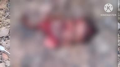 लाडपुरा: भामाशाह मंडी के पीछे रेलवे ट्रैक पर क्षत विक्षत हालात में मिला व्यक्ति का शव, पुलिस जांच में जुटी