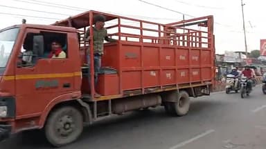 कानपुर नगर ओम पुरवा क्षेत्र में पशु बंदी वाहन की लापरवाही आवारा जानवर नहीं पकड़े जा रहे हैं नगर निगम मौन समस्या का