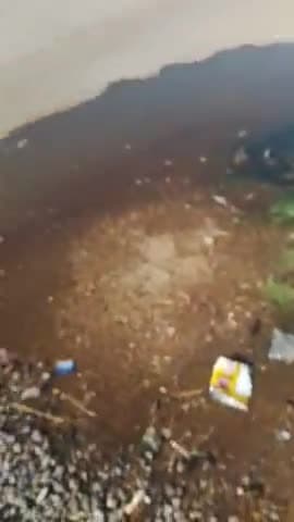 pipalkhedi colony ka ye haal hai nali band kar di gai maccharon ki bajah se bacche ho rahe bimar