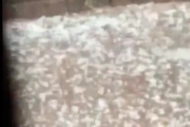 ଭଟଲି: କମଗାଁ ପଞ୍ଚାୟତରେ ଅଦିନିଆ ବର୍ଷା ଓ ପ୍ରବଳ କରା ମାଡ଼ ଯୋଗୁଁ ବ୍ୟାପକ ଫସଲ ନଷ୍ଟ