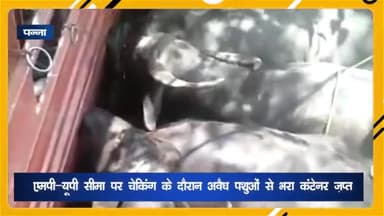 अजयगढ़: एमपी-यूपी सीमा पर चेकिंग के दौरान अवैध पशुओं से भरा कंटेनर जब्त, धरमपुर थाना और नरदहा चौकी पुलिस ने की कार्रवाई