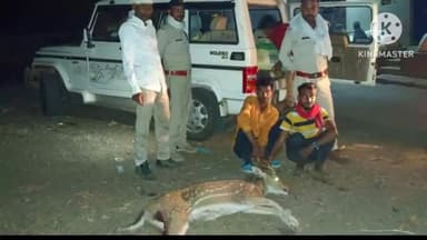 हटा: पानी की तलाश में मड़ियादो बस्ती में घुसे चीतल पर कुत्तों ने किया हमला, 2 युवकों ने बचाई जान व मड़ियादो बफ़रजोन को दी सूचना