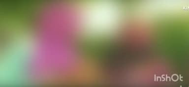 बुलंदशहर: रोडवेज़ बस स्टैंड के निकट युवक ने की गई महिला से छेड़छाड़, हिंदू संगठन के कार्यकर्ता पहुंचे थाने