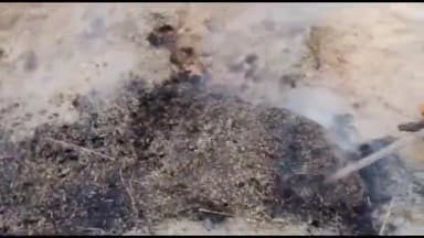 जंदाहा: असामाजिक तत्वों द्वारा कजरी बुजुर्ग गांव में भूसे के ढेर में आग लगा दिए जाने से दहशत में हैं भूसा मालिक