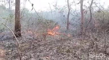 अंबिकापुर: अम्बिकापुर वन परिक्षेत्र के खैरबार जंगल मे अज्ञात कारणों से लगी आग,स्थानीय लोगो ने वन विभाग को दी सूचना