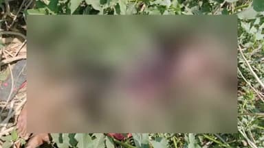 नबीनगर: कर्मा टांड बधार से अज्ञात युवक का शव बरामद, जांच में जुटी पुलिस