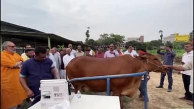 बेगूसराय: गाय सिर्फ बछिया पैदा करे इसको लेकर वैज्ञानिकों ने नागदह स्थित गौशाला में एक गाय का किया आईवीएफ