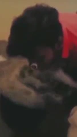 कानपुर: गोविंद नगर के डीडी कैफे में रेस्टोरेंट की आड़ में संचालित हो रहा है हुक्का बार, वीडियो हुआ वायरल
जांच में जुटी पुलिस