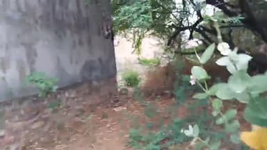 कोटा में चौराहे साज गए लेकिन अली गलियारों में हो रही है दुर्दशा यूआईटी की करोड़ो की संपति पड़ी है लावारिस