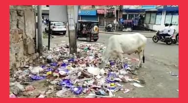 #अलवर #नगर_परिषद के सफाई कर्मचारी हड़ताल से वापस लौटे