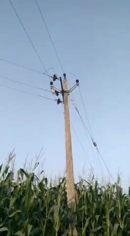 बरहरा: निपनिया में बिजली के तार टूटने से क्षेत्र में बिजली सेवा हुई बाधित, कनीय अभियंता ने समाधान की कही बात