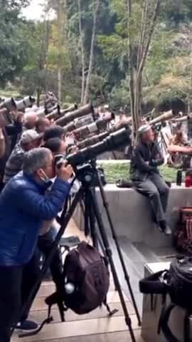 विश्व स्तर के पक्षीविद् और फोटोग्राफर एक दुर्लभ पक्षी के गायन को रिकॉर्ड करने के लिए इकट्ठे हुए।