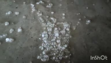 घुवारा: भगवाँ में आंधी-तूफान के साथ हुई बारिश, बारिश के साथ गिरे छोटे आकार के ओले, मौसम में आई ठंडक