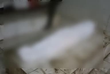 बहराइच: रुपईडीहा इलाके में ट्रैक्टर की चपेट में आने से युवक की हुई मौत,पुलिस जांच में जुटी