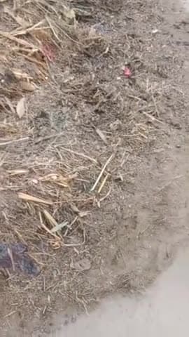 #rajakpur #naukothi
Rajakpur naukothi Begusarai