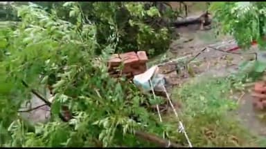 गोंडा: धानेपुर क्षेत्र में तेज हवाओं से साथ हुई बारिश से उड़े टीन के टप्पर, आकाशीय बिजली गिरने से पेड़ हुआ धराशायी