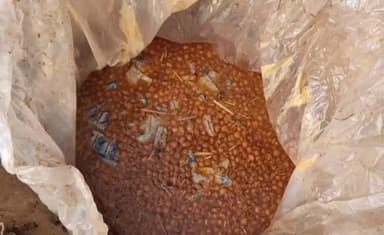 नबीनगर: सोन दियरा में अभियान चलाकर शराब भट्टी को किया गया ध्वस्त, 4000 किलो महुआ पास विनष्ट