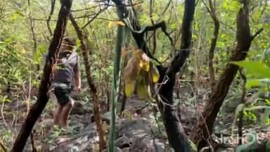 बालोद: ग्राम पर्रेगुड़ा के भोला पठार के जंगल में मिली युवती का कंकाल, हत्या की आशंका, इलाके मे फैली सनसनी, मामले में जुटी पुलिस