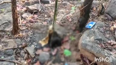 बालोद: पर्रेगुड़ा भोला पठार जंगल मे युवती की मिली लाश 1 माह से घर से थी गायब परिजन ने गुरुर थाने मे कराई थी गुमशुदगी की रिर्पोट