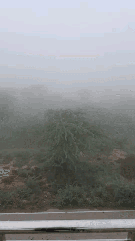 जुलाना: जींद:गढ़वाली गांव में मौसम हुआ बहुत ही ज्यादा कम।।
कोहरा हुआ बहुत ही ज्यादा।। #weatherchanged #news#update#jindkisan