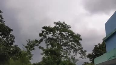 कस्बा: मौसम विभाग ने जिले में जारी किया येलो अलर्ट, कुछ क्षेत्रों में मेघ गर्जना, वज्रपात और बारिश होने की संभावना