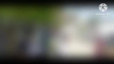 बुलंदशहर: कोर्ट परिसर में महिला अधिवक्ता ने लगाया छेड़छाड़ व मारपीट का आरोप, आरोपी युवक फरार; अधिवक्ताओं ने आरोपी की मां को पकड़ा