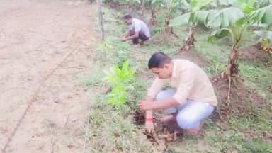 रामनगर: लुधौरा गांव में समाजसेवी व पर्यावरण प्रेमी मोनू भास्कर ने महोगनी के 201 वृक्ष लगाकर दिया पर्यावरण बचाने का संदेश