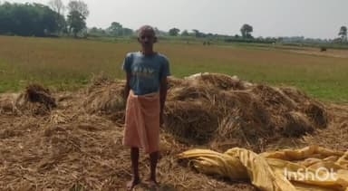 दारू: अम्बाडीह में झुंड से बिछड़े तीन हाथियों के आतंक से ग्रामीण परेशान, कई दिनों से फसलों को कर रहे नष्ट