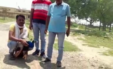 गोंडा: इटियाथोक कस्बे में छत पर दिखे जख्मी मोर की डायल 112 पुलिस व वन विभाग को हुई सूचना, वनकर्मियों ने इलाज कराकर वन में छोड़ा