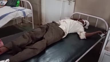 कटनी नगर: घोघराकला में पेड़ में गिरने के कारण एक व्यक्ति गंभीर रुप से हुआ घायल, अस्पताल में कराया गया भर्ती