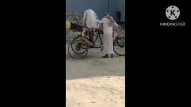 गोगरी: गोरैया बथान निवासी व्यक्ति को आवारा कुत्ते ने काटकर किया जख्मी, रेफरल अस्पताल में कराया भर्ती