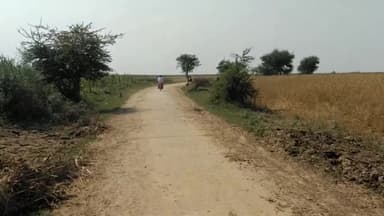 शाम्हो अकहा कुरहा: पथला टोला पथुआ सड़क पर तेज रफ़्तार बाइक हुआ दुर्घटनाग्रस्त,  बाइक सवार घायल