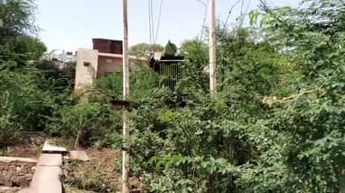 मासलपुर: ट्रांसफार्मर में तकनीकी खराबी के चलते मासलपुर में बार-बार गुल होती है बिजली, उपभोक्ता परेशान