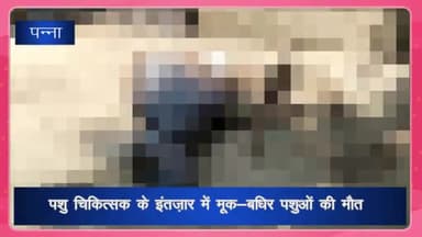 देवेंद्रनगर: इंटवाकला में पशु चिकित्सक के इंतजार में भैंस की हुई मौत, पशुपालक ने लगाए लापरवाही के आरोप