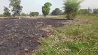 गोंडा: करुवापारा में शॉर्ट सर्किट से लगी आग में 2 किसानों की 5 बीघे की गन्ना फसल जलकर हुई नष्ट, ग्रामीणों ने आग पर पाया काबू