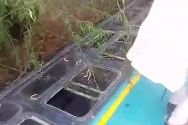 चंदला: लवकुश नगर से बांदा जाने वाली बस चंदपुरा व मेटोंध के बीच अनियंत्रित होकर पलटी, आधा दर्जन लोगों के घायल होने की आशंका