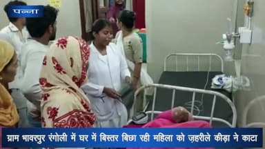 अजयगढ़: भावरपुर रंगोली में घर में बिस्तर बिछा रही महिला को ज़हरीले कीड़े ने काटा, अजयगढ़ सामुदायिक स्वास्थ्य केंद्र में उपचार जारी