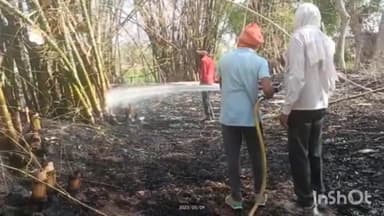 रॉबर्ट्सगंज: खजूरी खुर्द गांव में बांस के बगीचे में लगी आग, फायर ब्रिगेड की टीम ने मौके पर पहुंचकर पाया काबू