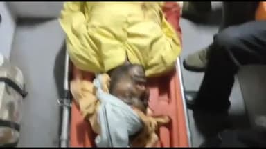 रायसेन: दीवानगंज कर्क रेखा के पास दो मोटरसाइकिल की आमने-सामने भिड़ंत तीन लोग घायल