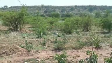 पन्ना: सिंह सागर शांति धाम में सुविधा के अभाव में भटकते रहे मृतक का अंतिम संस्कार करने गए परिजन